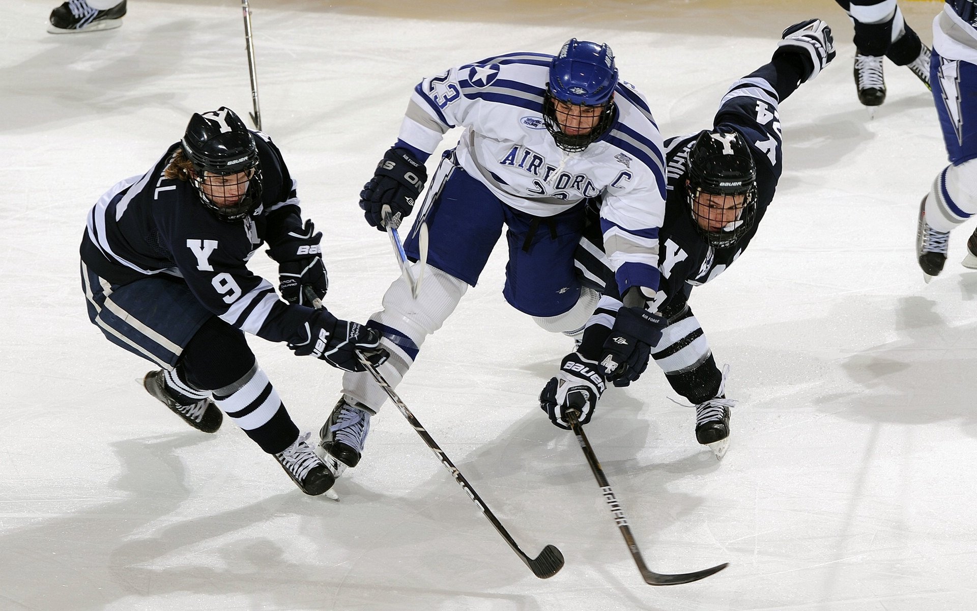 五环杯国际排球邀请赛,主队迎战劲敌,五环体育中心赛事安排